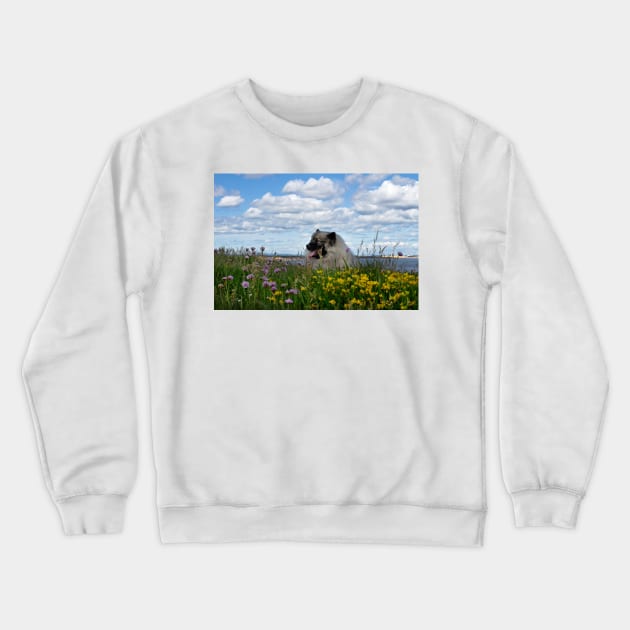 Keeshond amongst the flowers Crewneck Sweatshirt by Violaman